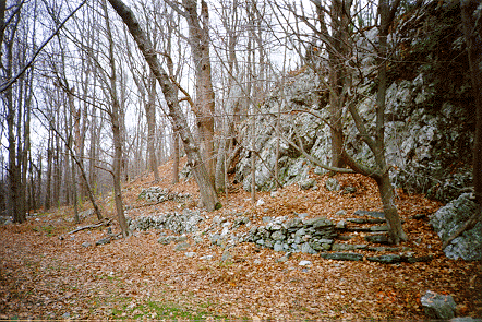 a photograph of the seat of Metacomet