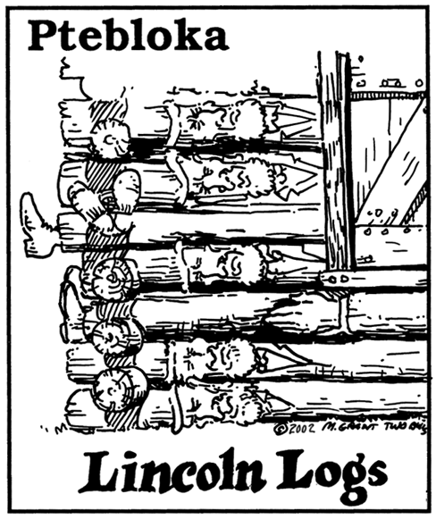 Lincoln Logs by Marty Two Bulls